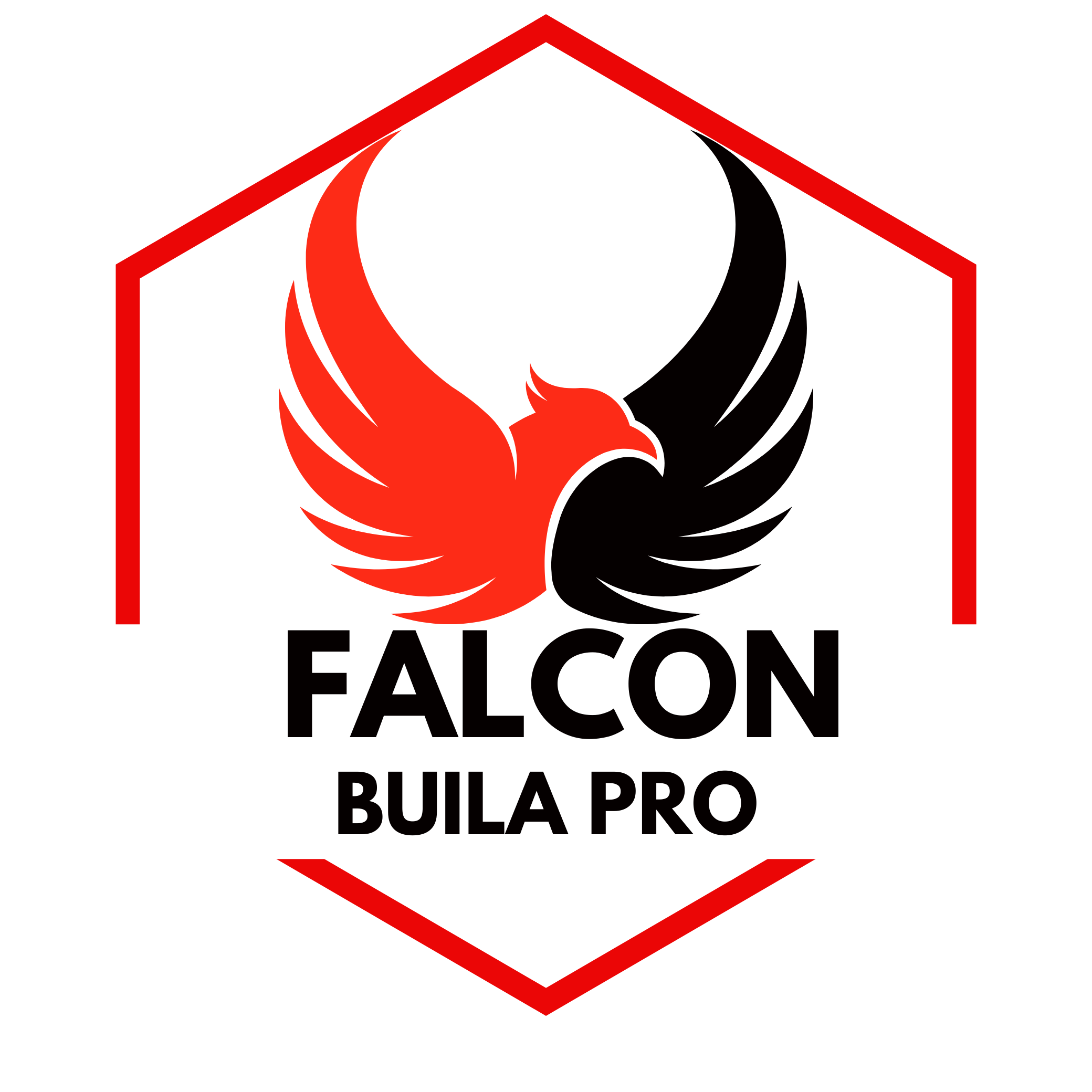 Falcon Buila PRO - Mentor Holistico