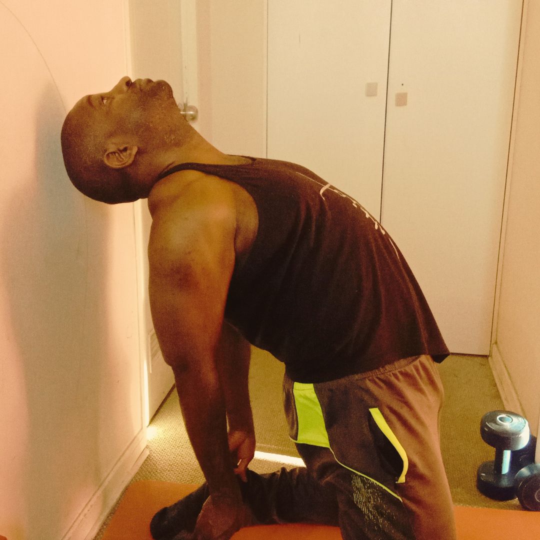 Falcon Practicando Yoga